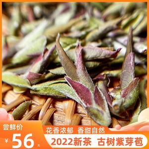 2022年早春茶普洱生茶野生紫芽苞茶云南古树紫芽普洱茶紫芽孢散茶