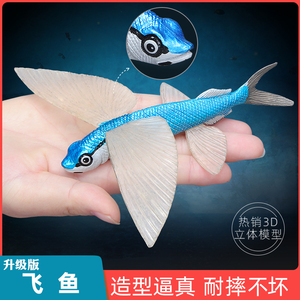 仿真海洋生物模型鱼类飞鱼玩具海底动物塑胶儿童科教认知礼物摆件
