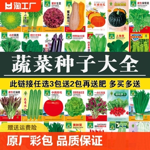 四季蔬菜种子黄秋葵红秋葵香菜青菜阳台盆栽种植生菜种籽孑开花