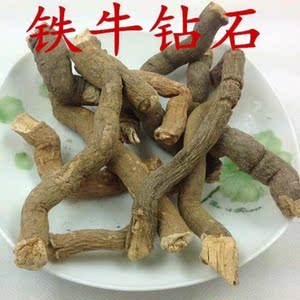 天然青草铁牛钻石 钻石风 石钻子 青木香 广香藤 干货500g 包邮