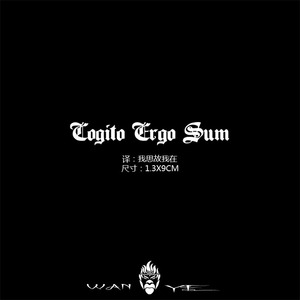 鹿晗明星同款 我思故我在 草本纹身贴防水不反光半永久ins风男贴