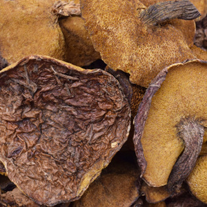 山东临沂蒙山土特产天庆老区人家蒙山松菇新鲜蛾子蘑菇干货550g