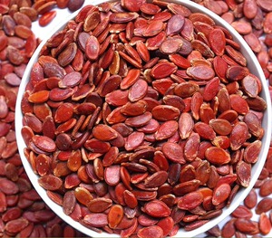 原味生红瓜子广西特产生晒咸味水煮红瓜子 休闲食