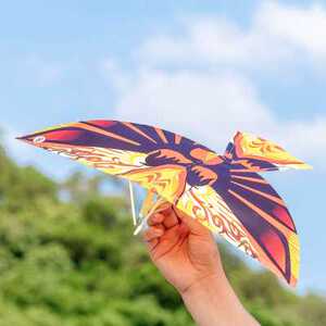 鲁班飞鸟儿童节创意礼物户外小玩具广场地摊货源热卖幼儿园小礼品