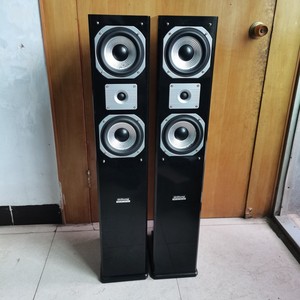 奇声音箱落地式