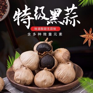 九秋居黑蒜独头黑蒜山东特产黑蒜精品米黑大蒜新鲜去皮发酵黑蒜头