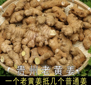 贵州农家 高山老品种 小黄姜 老姜老黄姜比生姜辛辣味足土姜10