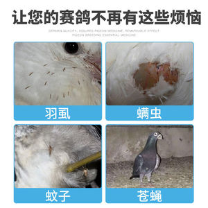 鸽子洗澡专用药赛鸽速霸浴盐鸟除羽虱螨虫体外驱虫鸽药大全常见.
