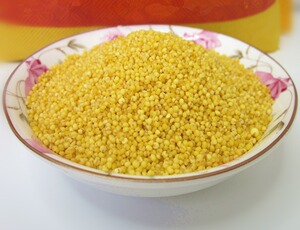 河北蔚县桃花农家黄小米小黄米新米蔚州贡米月子米