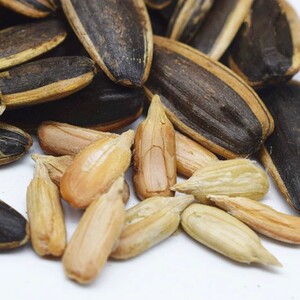 润林瓜子山核桃味500g脱皮藤椒焦糖葵花籽毛磕零食坚果炒货内蒙古