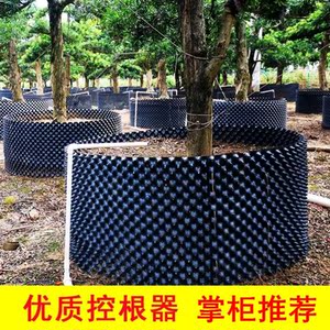 种植控根器围土栏加厚育苗器pvc塑料园林绿化景观树植树圈阻根板