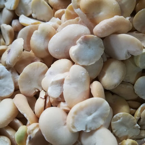 四川农家自制豆瓣干胡豆半去皮生蚕豆办胡豆瓣豆瓣