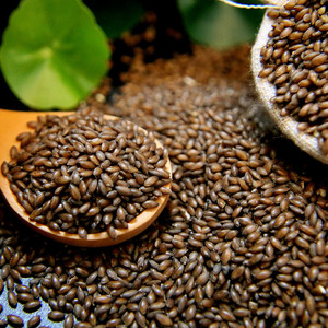 黑金谷米血燕麦 500g×3袋血钻野燕麦高黄酮山西五谷杂粮粥饭原料