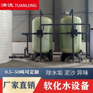 软化水处理设备锅炉软水器井水除水垢过滤器大型全自动工业软水机