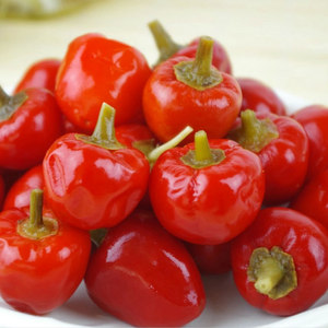 包邮1500g贵三红珠子椒泡椒贵州特产泡灯笼椒火锅泡辣椒热销eipc