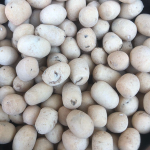 正宗陕县东寨老赵面豆农家手工土炒馍陕州棋豆河南三门峡特产ecpc