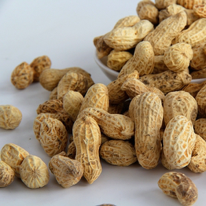 【白晒小种花生】福安特产溪谭穆阳 水煮白晒淡咸