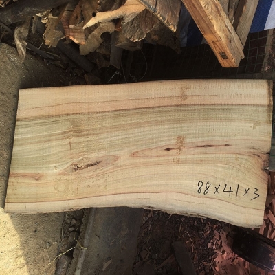 香樟木整原木板块原生态香樟树实木板材可刻茶台木板.雕定制木