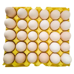 正宗散养农家土鸡蛋生鸡蛋厂家价无菌红心蛋虫草蛋整箱特价!