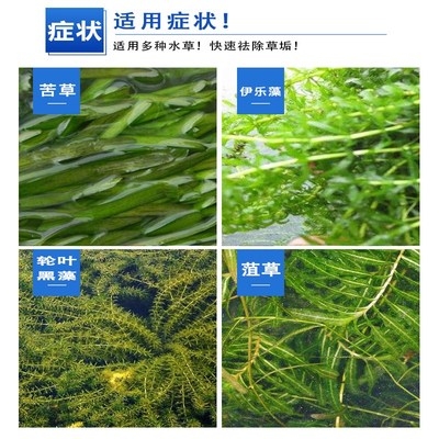 小龙虾水草垢净去污灵白对伊藻养l殖清除网箱地膜泥垢净虾乐蟹苦j