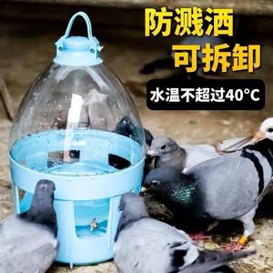 鸽子饮水器 水壶信鸽用品自动喂水干净卫生鸽子用品用具 赛鸽水壶