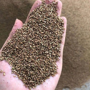 百喜草种子宽叶草糖蜜草宽叶雀稗狗牙根耐热耐旱狼尾草护坡草种籽