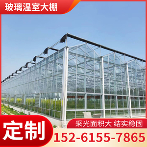 玻璃温室大棚骨架智能控制系统全套花卉蔬菜大棚搭棚子钢管骨架