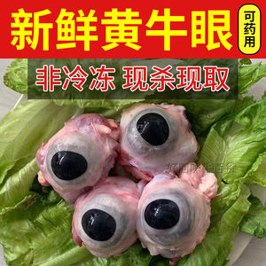 新鲜生黄牛眼睛1只现宰牛眼睛泪泪腺牛眼牛眼球眼珠子医用拍6包邮