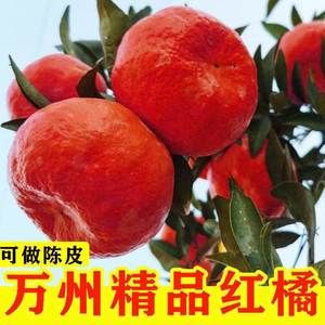 重庆万州红橘红皮桔子新鲜应季水果纯甜橘子柑橘5/10斤土柑子包邮