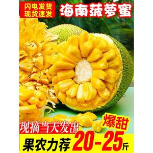 海南黄肉菠萝蜜新鲜水果波罗蜜当季特产一整个20-40斤整箱包邮红