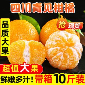 四川青见柑橘柑桔子新鲜10斤果冻橙柑橘大果水果橘子现摘现发