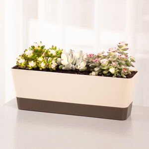 长方形塑料花盆树脂