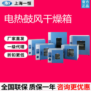 上海一恒电热鼓风干燥箱实验室DHG-9030A/9070/9240A工业恒温烘箱