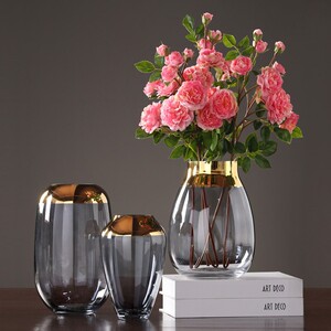 花瓶矮款宽口鲜花玻璃北欧现代金边透明水养插花矮胖大口创意简约