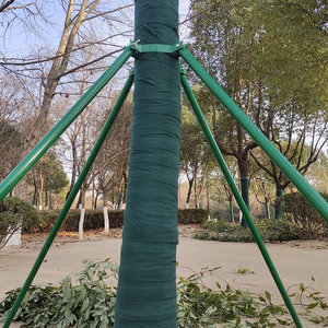 镀锌钢管树木支撑架园林绿化带三角支撑架烤漆果树风景树支撑树架