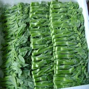 新鲜精选当季广东芥兰芥蓝现摘现发绿色时令蔬菜整箱农家青菜直发