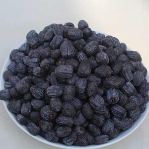 黑枣特级君迁子