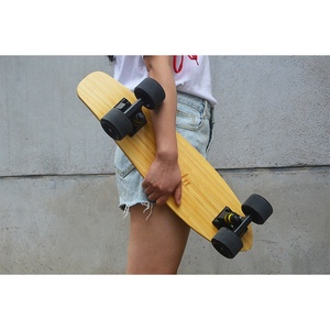 人代成w刷街板青少年小鱼四轮儿童滑板.者单翘便携卡律步初学