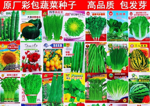 2各种蔬菜种子 农田菜园高产易种蔬菜甘蓝、韭菜、莴苣等种籽