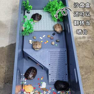 202人付款天猫乌龟缸小号家用塑料养龟箱带排水饲养鱼盆窝专用龟池