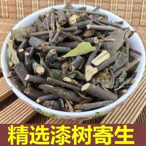 tt漆树寄生野生柒木寄生漆木寄生痒漆树寄生木蜡树寄生茶500克包