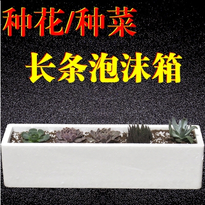 泡沫箱子种菜阳台家用长方形