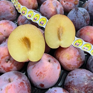 智利进口鸵鸟蛋2斤爽脆黄肉恐龙蛋布林李子当季新鲜孕妇水果