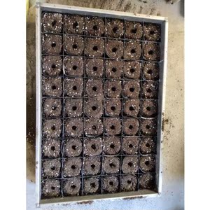 营养杯装土器育苗神器农用塑料包邮营养钵育苗杯装杯神器