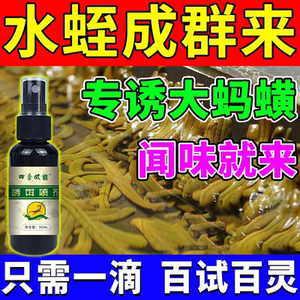 蚂蟥水蛭专用引诱剂水蛭抓捕板强效型水蛭粉捕捉器野蚂蟥万能诱饵