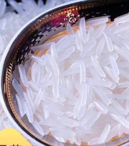 广东猫牙米正宗长粒香米新米猫芽细米农家真空包装5kg10kg广式风