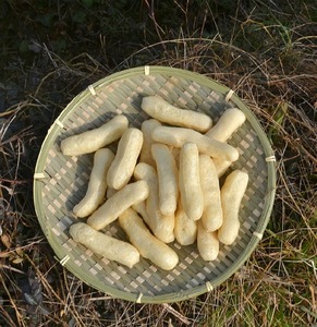 江西都昌特产豆冲