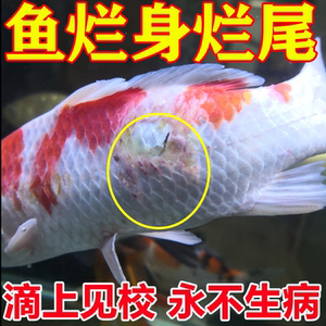 治鱼病的药鱼烂身烂尾药白点病红斑白斑鱼鳃病杀菌寄生虫亚甲基蓝