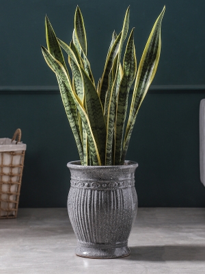 新品虎皮兰专用花盆陶o瓷欧式高脚庭院花园落地大号特大客厅桌面