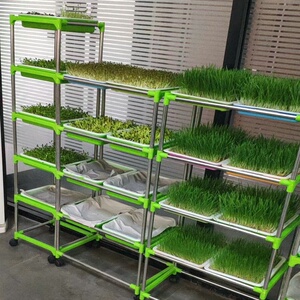 无土栽培育苗架